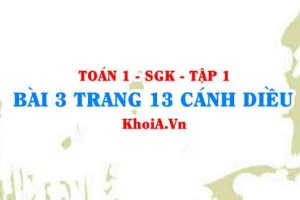 Bài 3 trang 13 Toán 12 tập 1 Cánh Diều